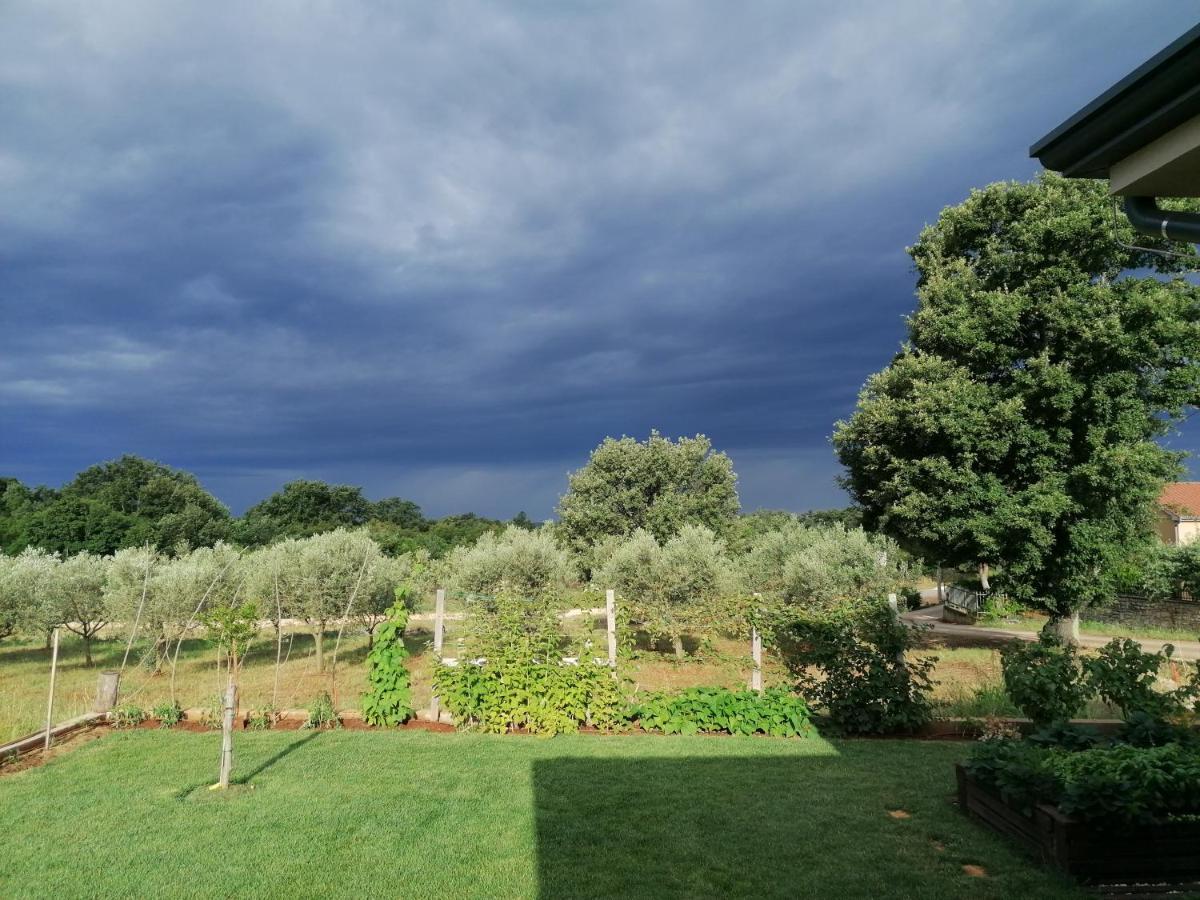 Ferienresidenz Lavandula Nova Vas  ภายนอก รูปภาพ